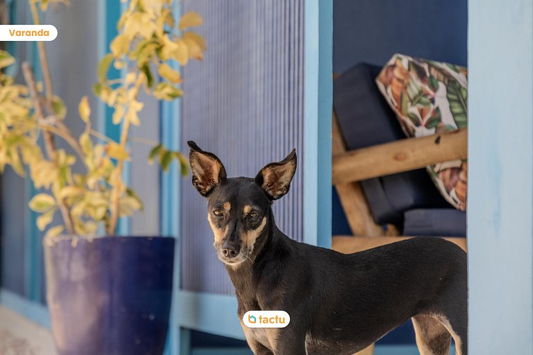 Casa Stella Cadente in Fortim